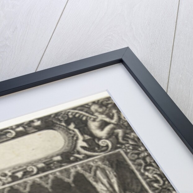 Picture frame with an elongated cartouche with rounded sides by Theodor de Bry
