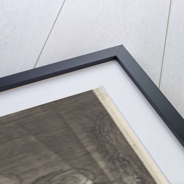 View of Bethany by Claes Jansz. Visscher II