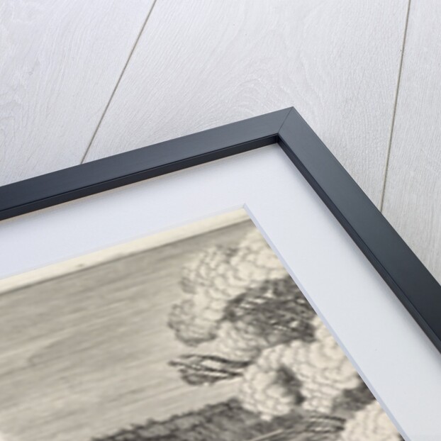 Farmer and his wife in a rowing boat by Jan van de Velde II