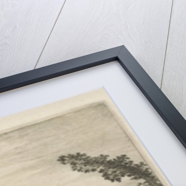 View of the ruins of Castle Waardenburg, Neerijnen by Robert de Baudous