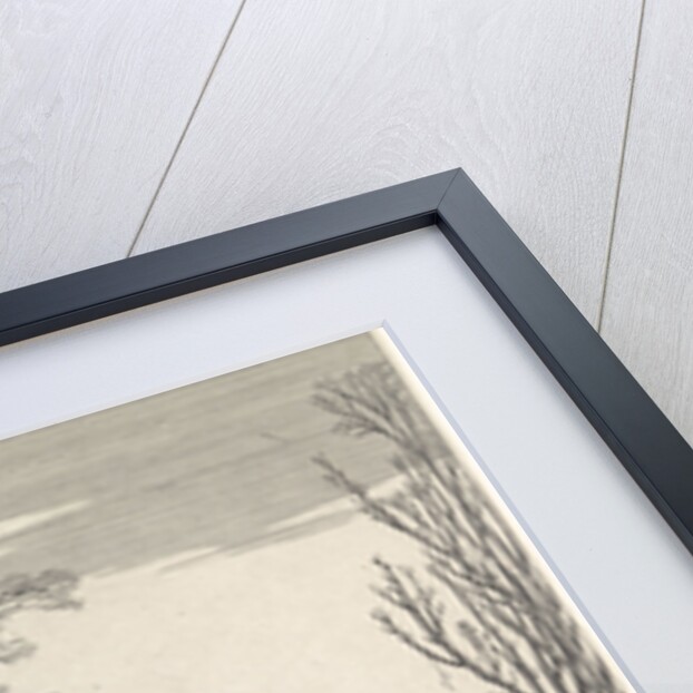 Winter (Hyems) by Martin Engelbrecht