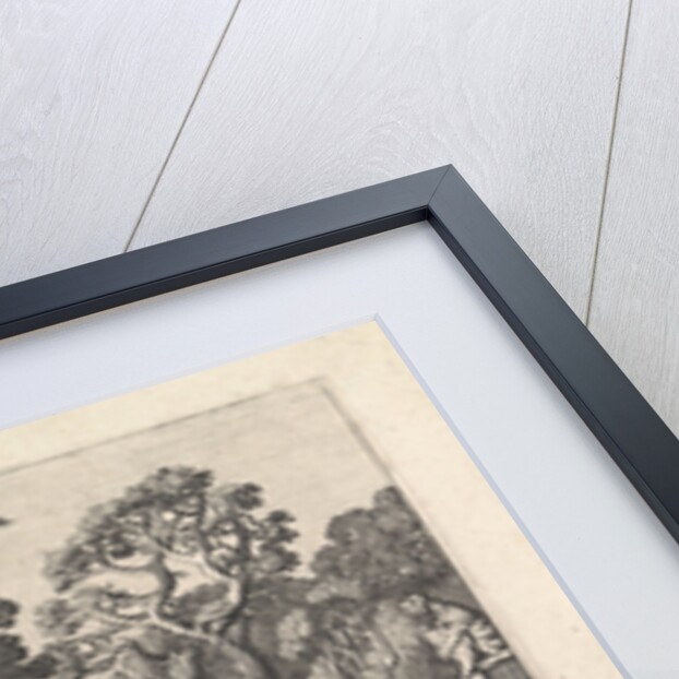 Air (Aer) by Jan van de Velde