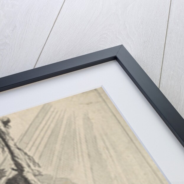 Jonas under the miracle plant by Jan van de Velde II