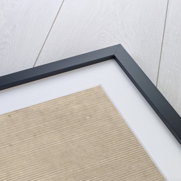 Pepper and salt shaker by Hieronymus Cock