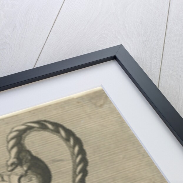 Gutturnium by Hieronymus Cock