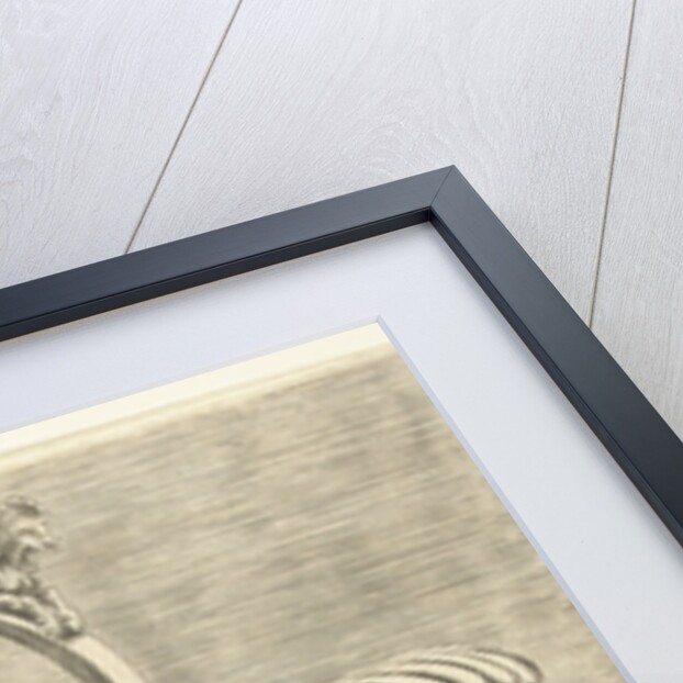 Jug in the shape of a snail shell by Hieronymus Cock