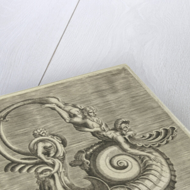 Jug in the form of a volute by Hieronymus Cock