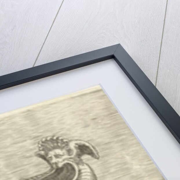 Scale formed by the lower jaw of a man with a satyr head by Hieronymus Cock