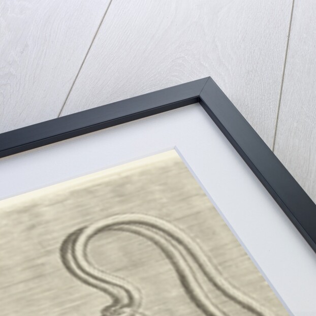 Nautilus Trophy with a lobster on the belly by Hieronymus Cock