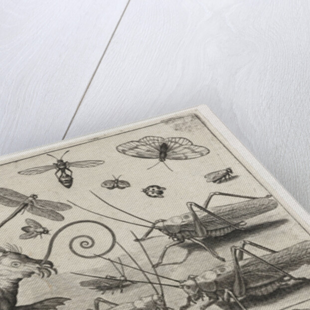 Locusts and fantasy creature with wings and webbed by Nicolaes de Bruyn