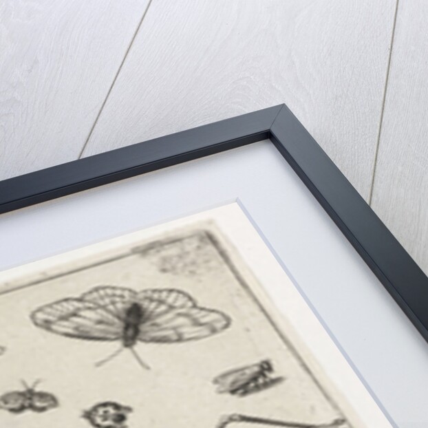 Locusts and fantasy creature with wings and webbed by Nicolaes de Bruyn