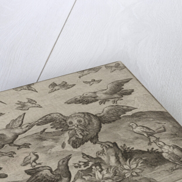 Owl with prey attacked by other bird by Nicolaes de Bruyn