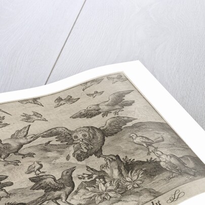 Owl with prey attacked by other bird by Nicolaes de Bruyn