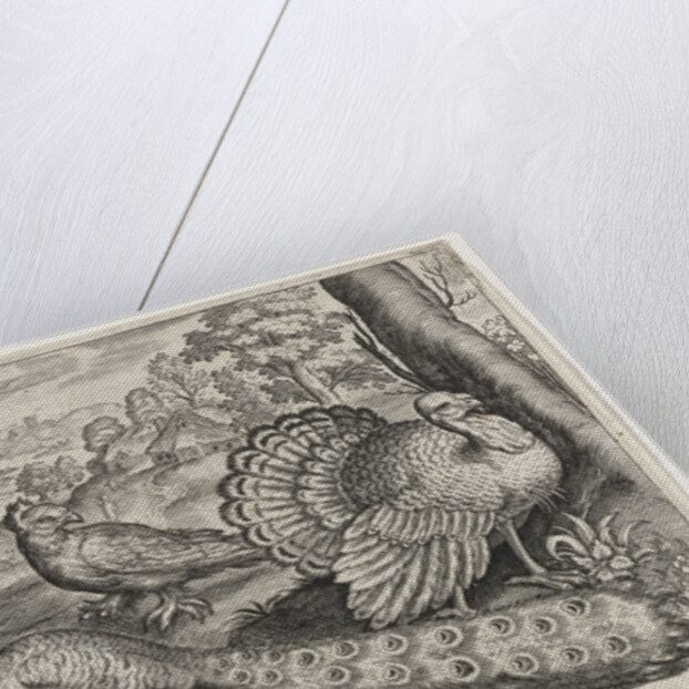 Two Peacocks and turkey, Germany by Nicolaes de Bruyn