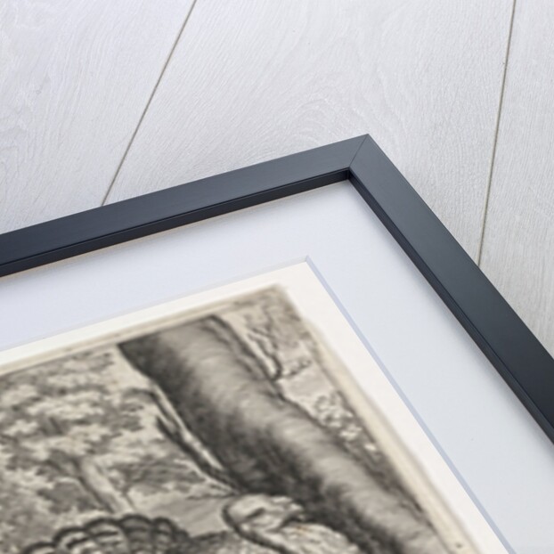 Two Peacocks and turkey, Germany by Nicolaes de Bruyn