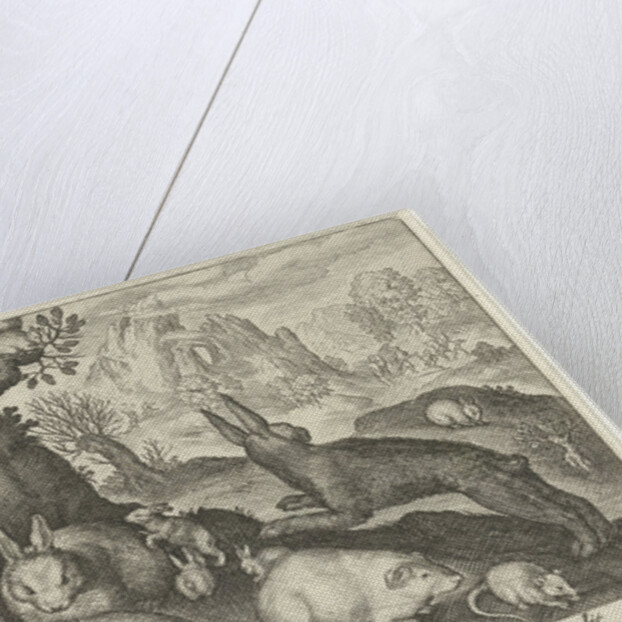 rabbits, squirrel, guinea pig and mouse by Nicolaes de Bruyn