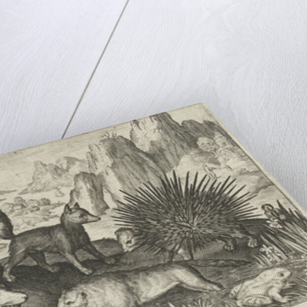 Wild boar, fox, beaver, porcupine in Frogs by Nicolaes de Bruyn