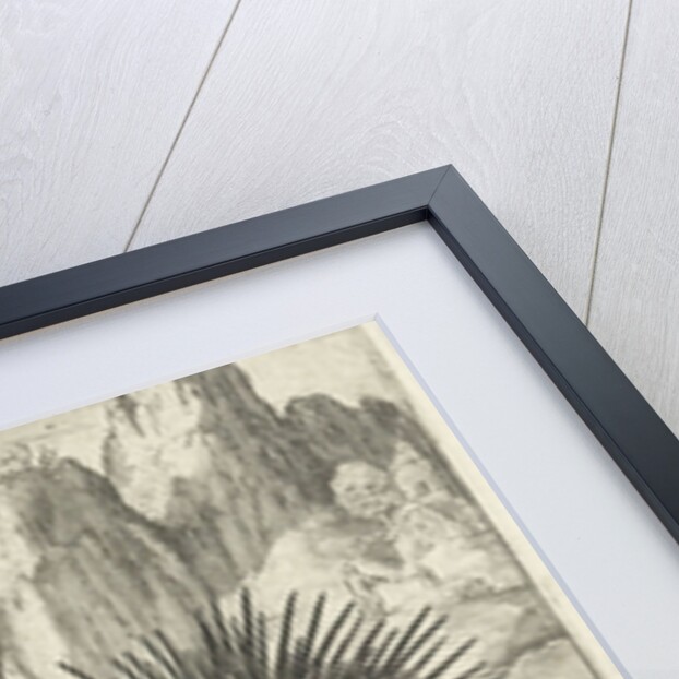 Wild boar, fox, beaver, porcupine in Frogs by Nicolaes de Bruyn