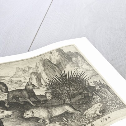 Wild boar, fox, beaver, porcupine in Frogs by Nicolaes de Bruyn