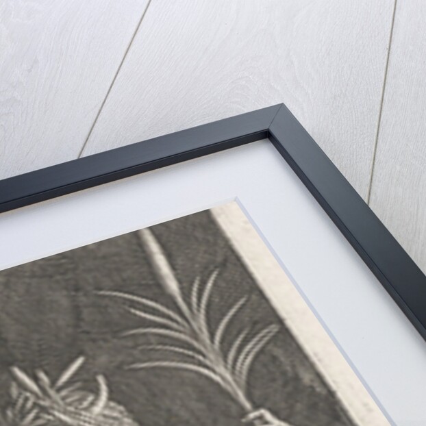 Sea God Achelous by Philips Galle