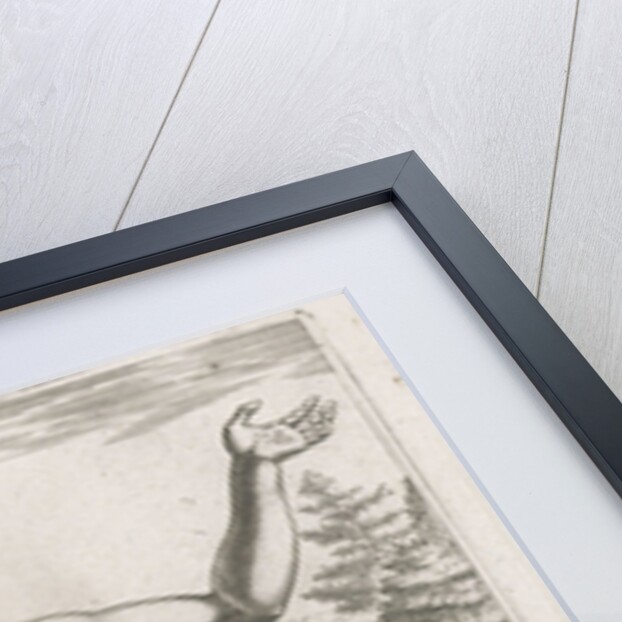 Water Nymph Largia by Philips Galle