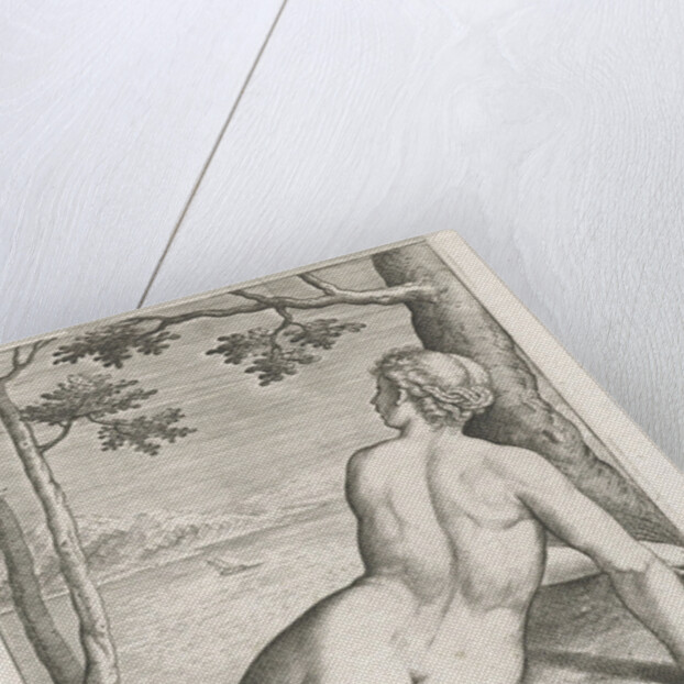 Water Nymph Camerina by Philips Galle