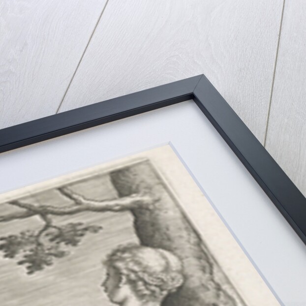 Water Nymph Camerina by Philips Galle