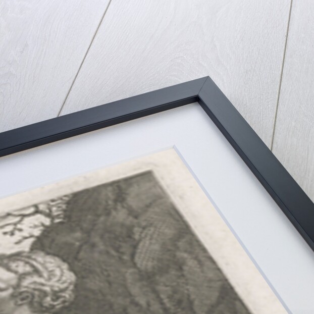 Water Nymph Hippoccrene by Philips Galle