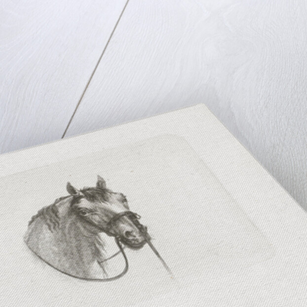 Horse head, slightly to the right by Gerrit Malleyn