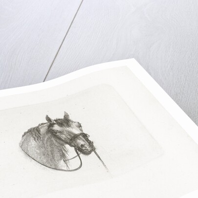 Horse head, slightly to the right by Gerrit Malleyn