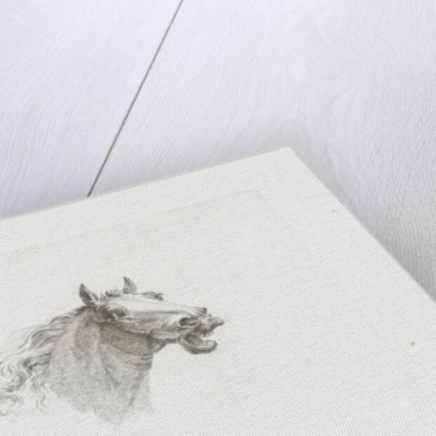 Horse head with open mouth, right by Gerrit Malleyn