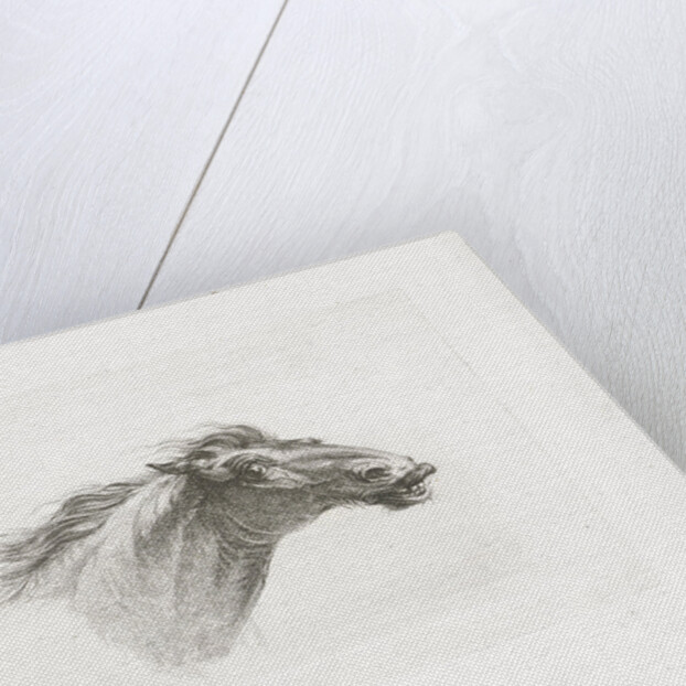 Horse head by Gerrit Malleyn