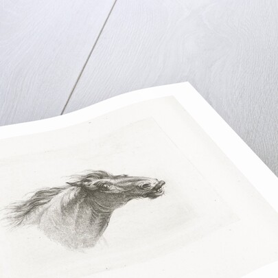 Horse head by Gerrit Malleyn