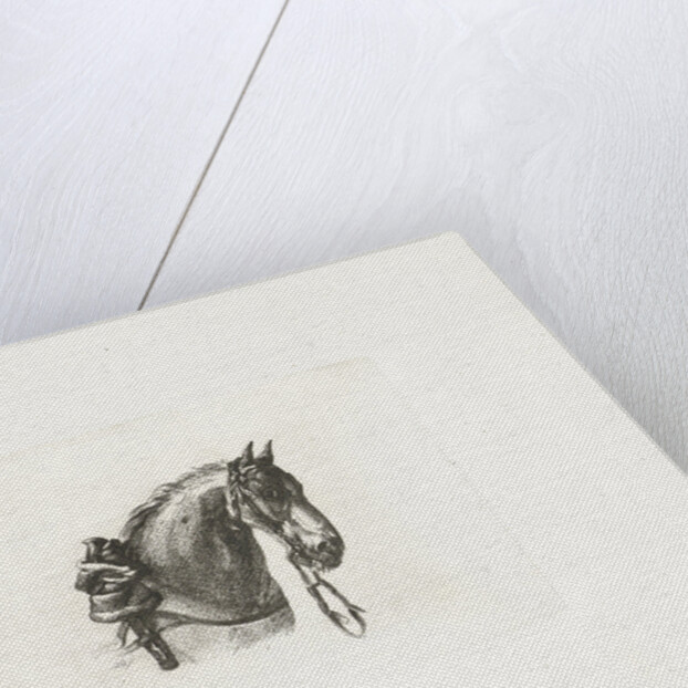 Horse head, right by Dirk Langendijk