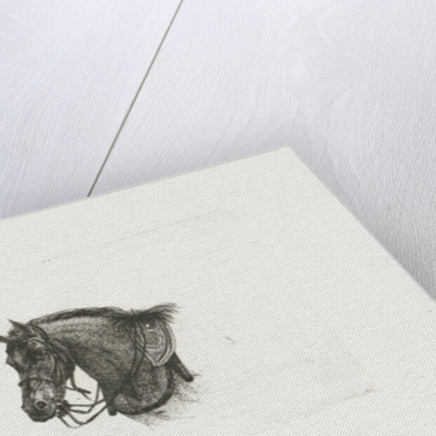 Horse Head in slightly bent position to the left by Dirk Langendijk