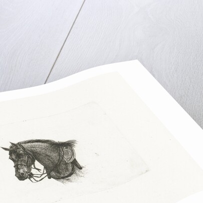 Horse Head in slightly bent position to the left by Dirk Langendijk