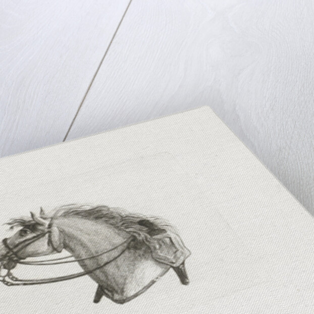 Raised horse head left by Dirk Langendijk