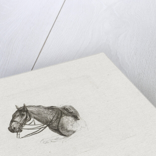 Horse Head, left by Dirk Langendijk