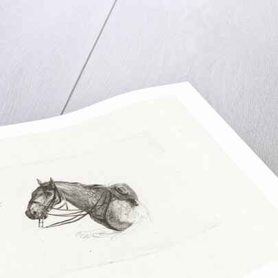 Horse Head, left by Dirk Langendijk