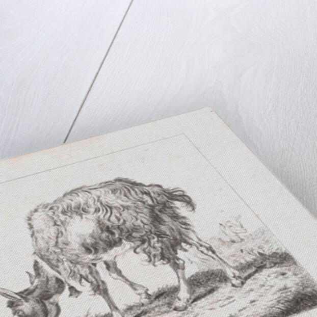 Grazing goat with bell by Reinhart