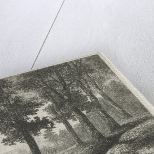 View of a forest by Hermanus Jan Hendrik van Rijkelijkhuysen