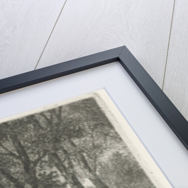 View of a forest by Hermanus Jan Hendrik van Rijkelijkhuysen