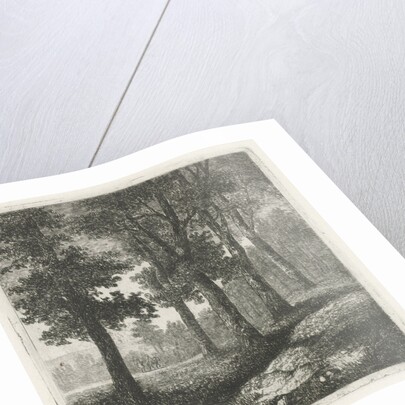 View of a forest by Hermanus Jan Hendrik van Rijkelijkhuysen
