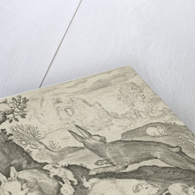 rabbits, squirrel, guinea pig and mouse by Nicolaes de Bruyn