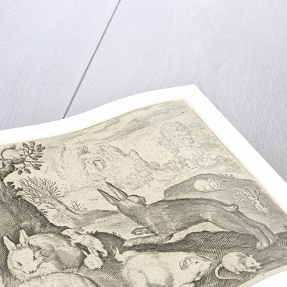 rabbits, squirrel, guinea pig and mouse by Nicolaes de Bruyn