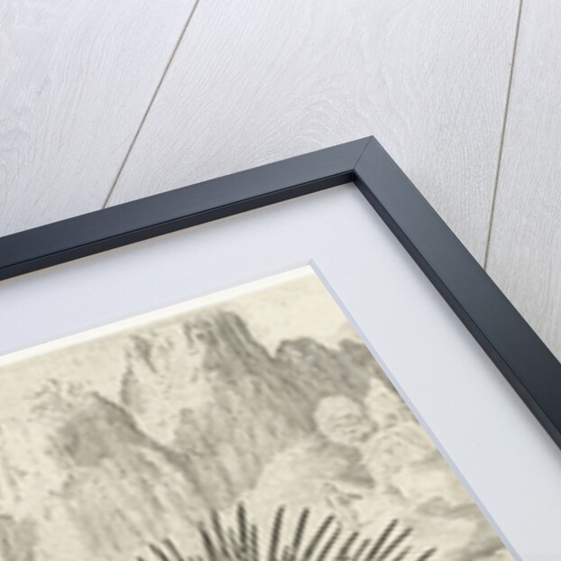 Wild boar, fox, beaver, porcupine and frogs by Nicolaes de Bruyn