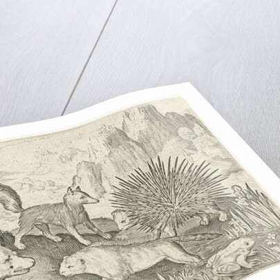 Wild boar, fox, beaver, porcupine and frogs by Nicolaes de Bruyn