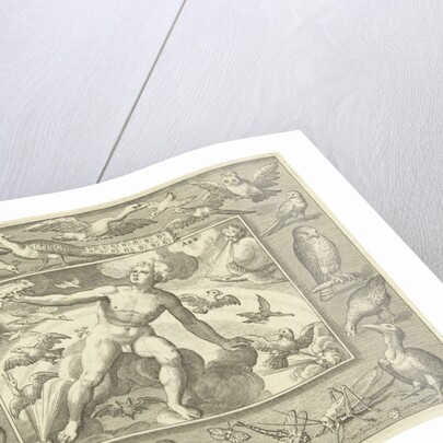 Element air as a young man on clouds between flying birds by Maerten de Vos