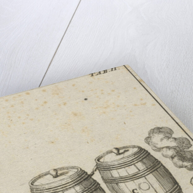 Distiller with two barrels by Jan Claesz ten Hoorn