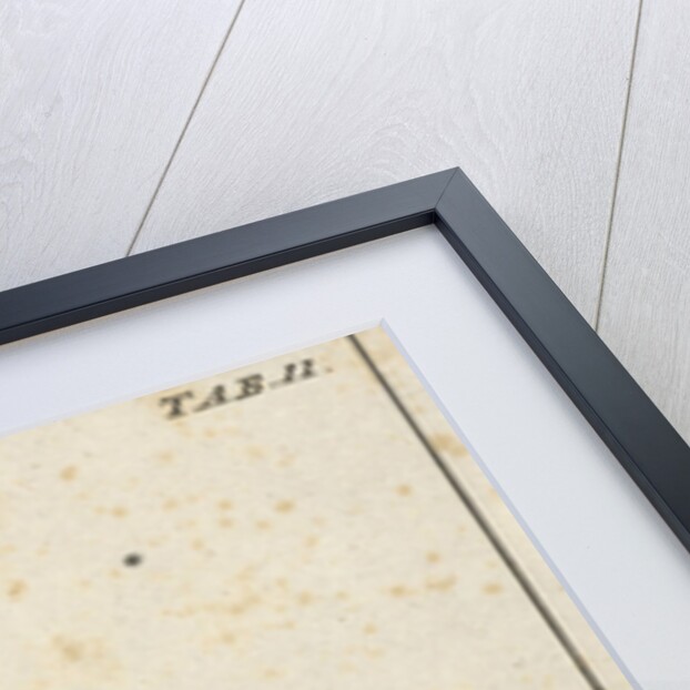 Distiller with two barrels by Jan Claesz ten Hoorn